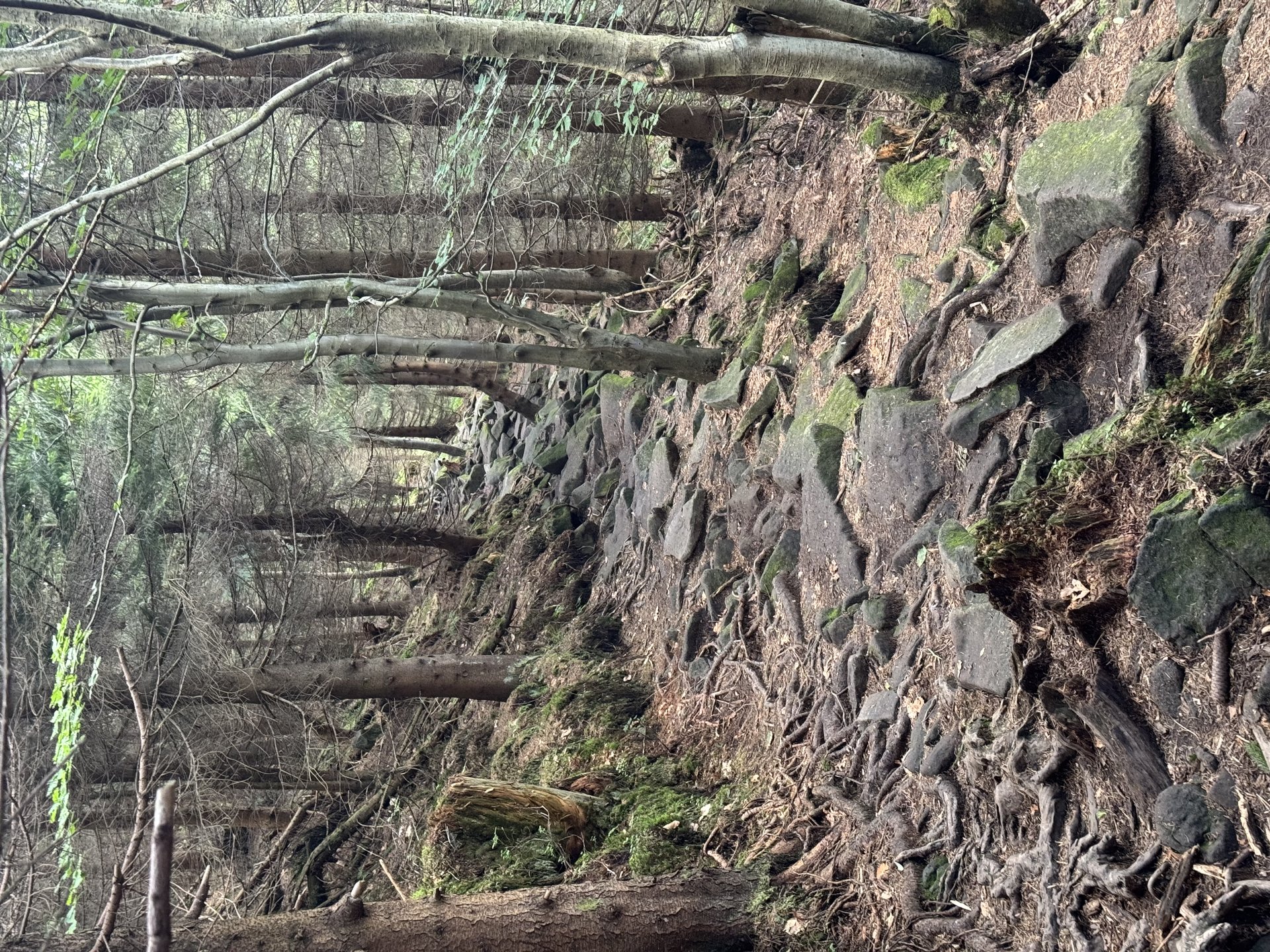 Závěrečný sestup