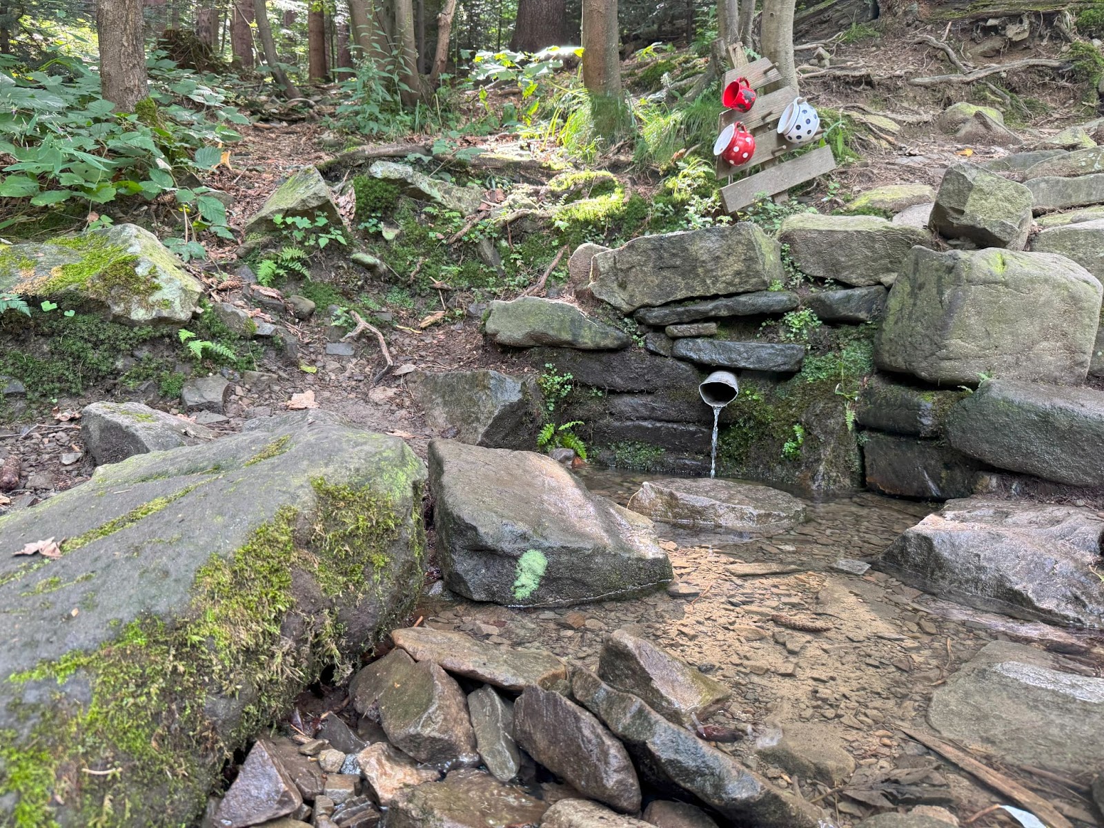 Přírodní horský pramen — studánka